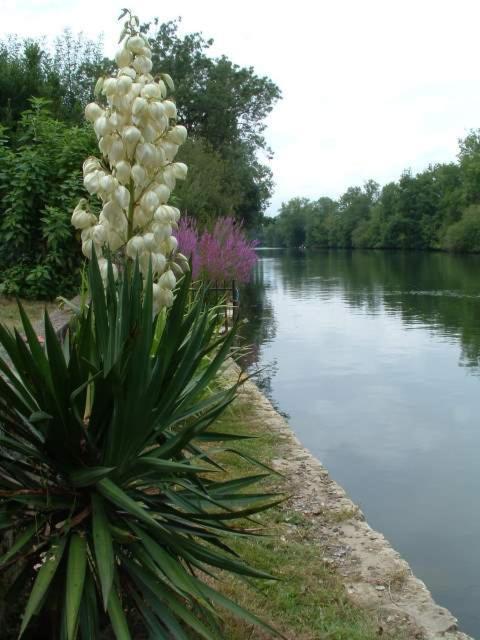 La Fontaine Des Arts Bed and Breakfast Mansle-les-Fontaines Εξωτερικό φωτογραφία